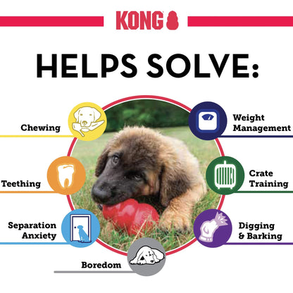 KONG Classic Chew Toy