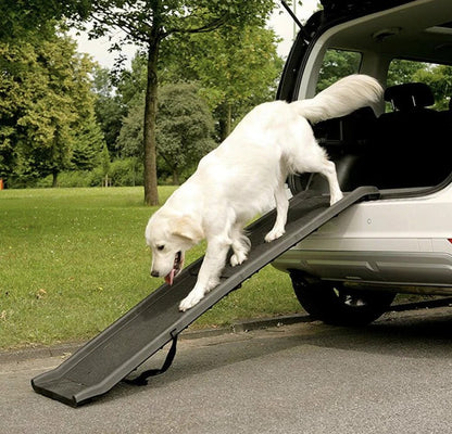 Portable Foldable Dog Ramp