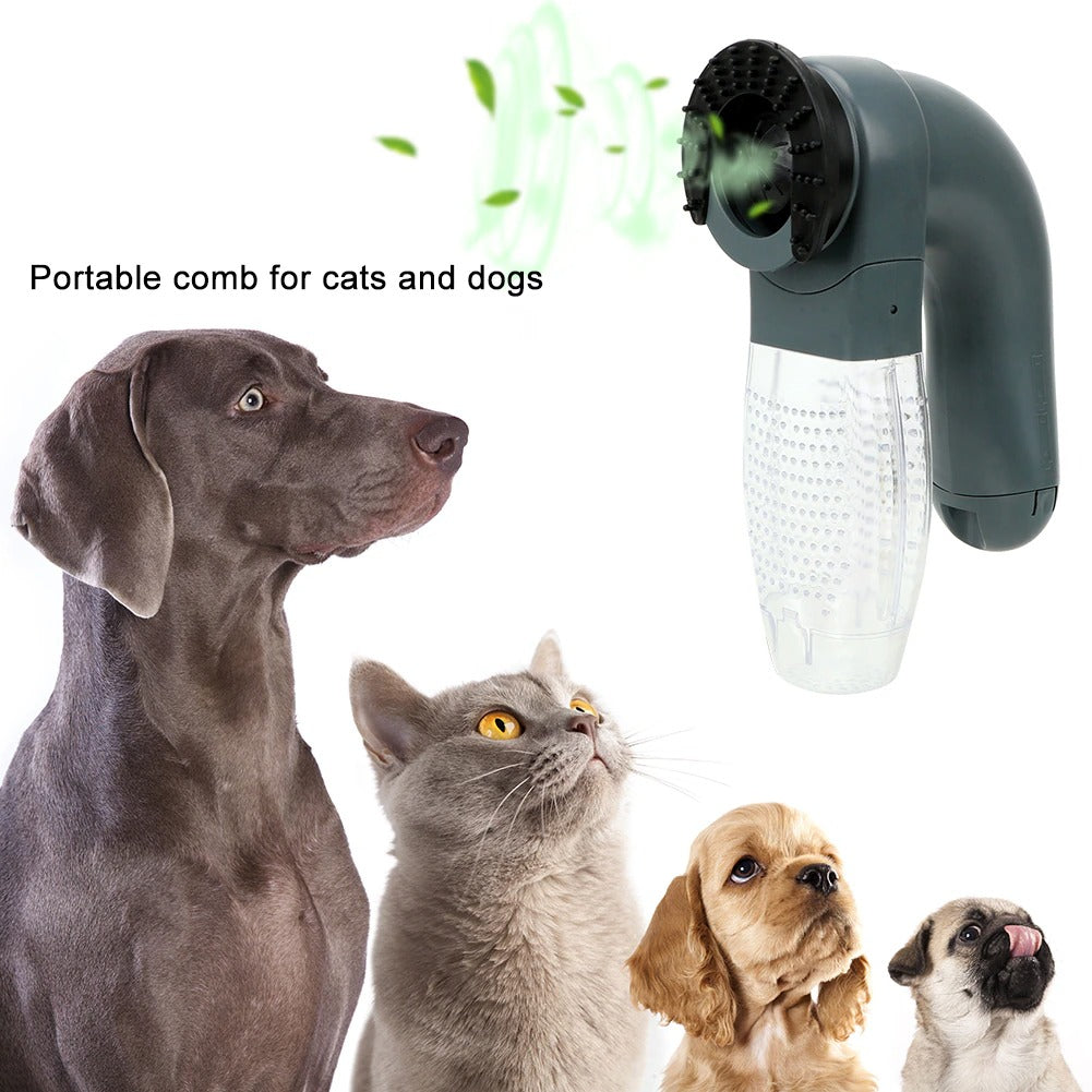 Handheld Fur Vacuum