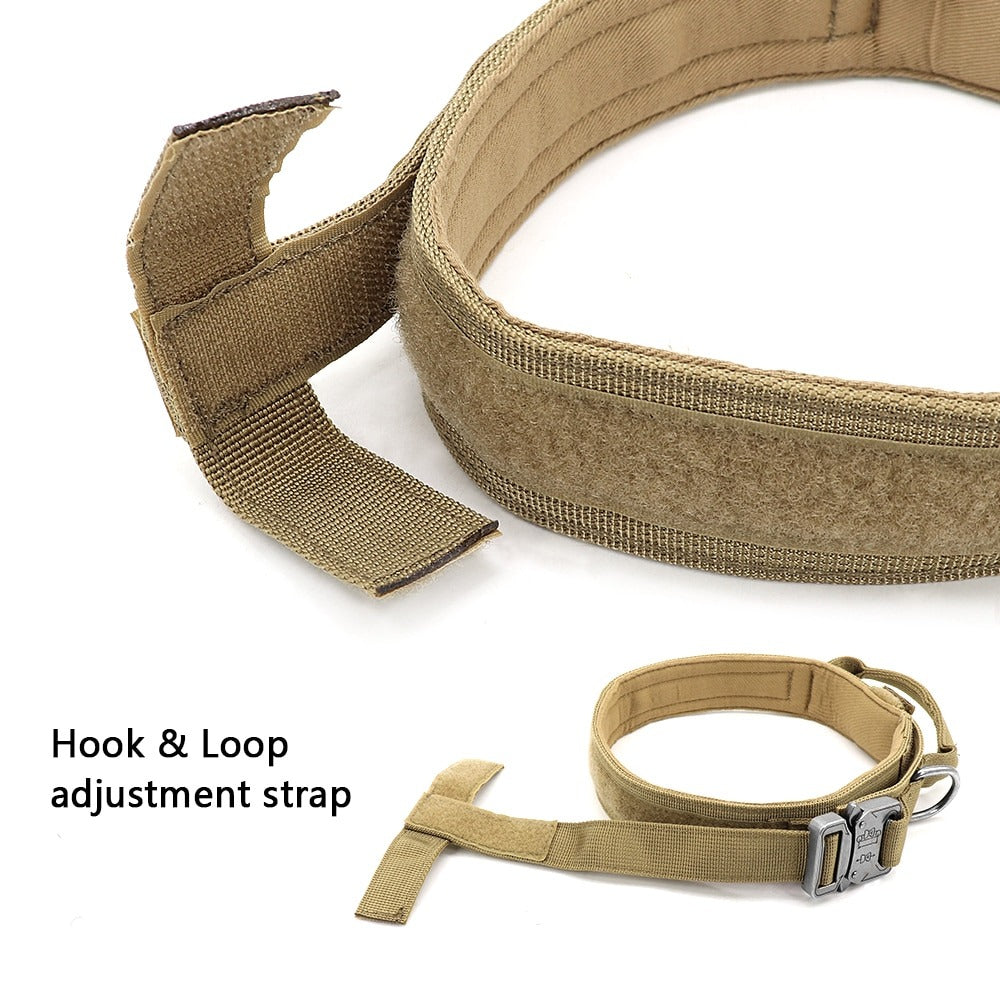 Bungee Leash with Collar