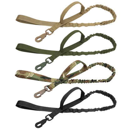 Bungee Leash with Collar