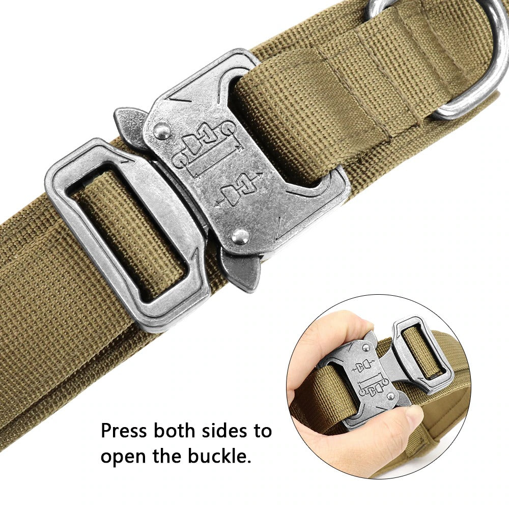 Bungee Leash with Collar