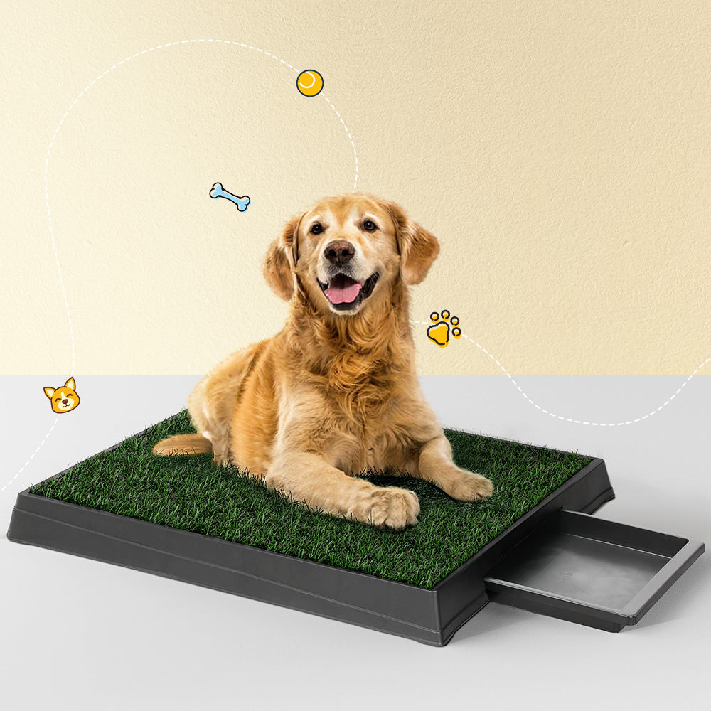 Portable Pet Potty Toilet Grass Mat