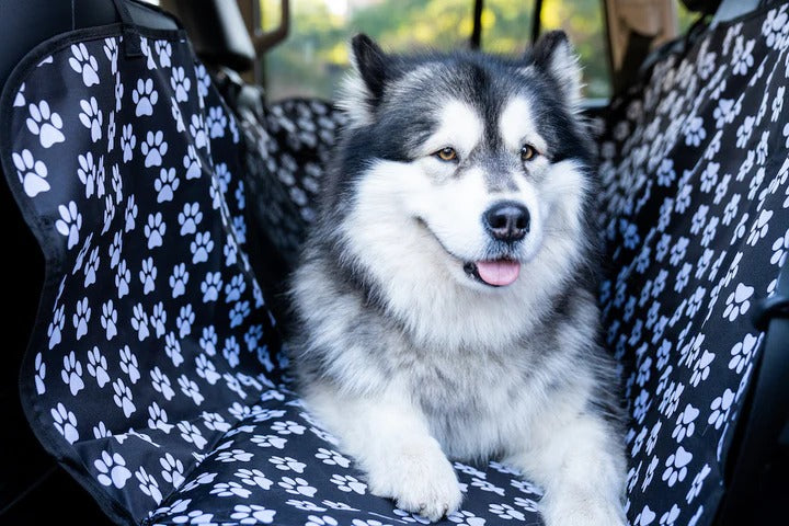 Waterproof Pet Car Seat Cover