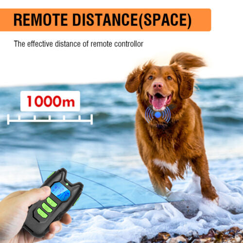 Electric Pet Dog Training Anti Bark Collar