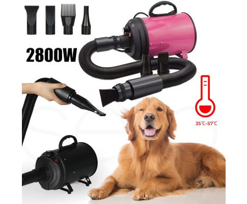 High Velocity Pet Blow Dryer