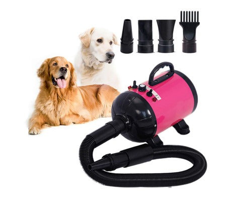 High Velocity Pet Blow Dryer