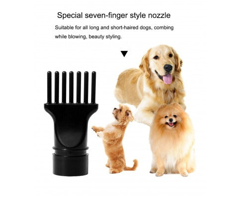 High Velocity Pet Blow Dryer