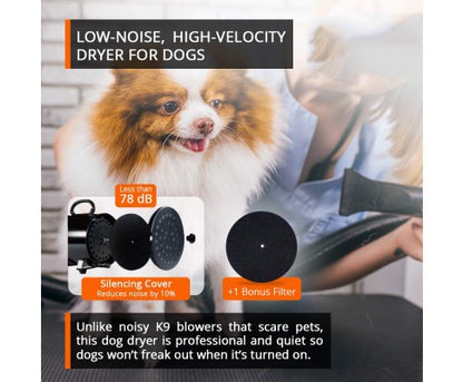 High Velocity Pet Blow Dryer