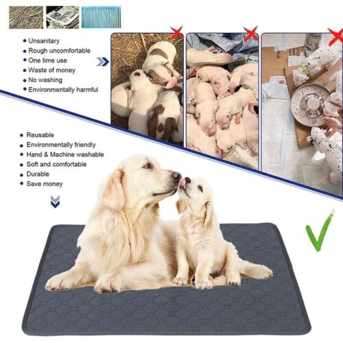 Washable Pet Pee Pad