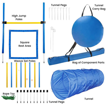 Dog Agility Training Set