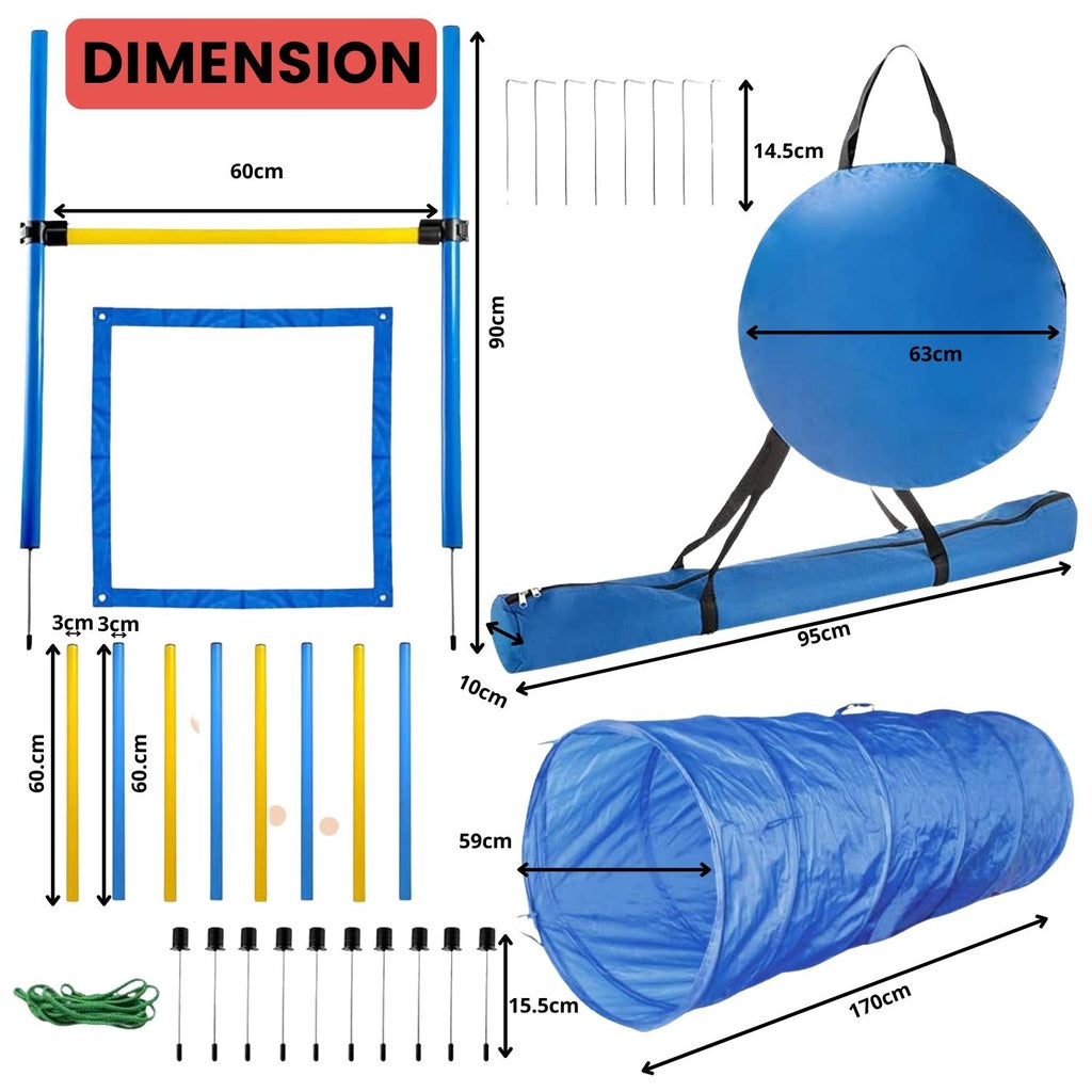 Dog Agility Training Set