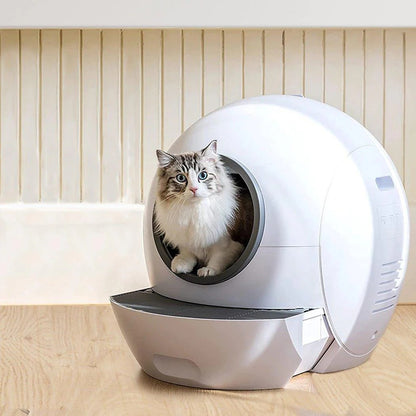 Automatic Smart Litter Box with WiFi