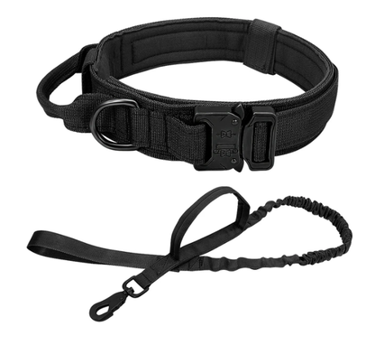 Bungee Leash with Collar