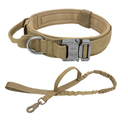 Bungee Leash with Collar