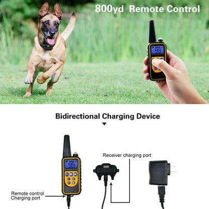 Electric Dog Traning Collar