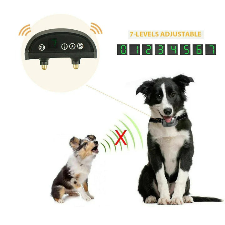 Electric Dog Traning Collar