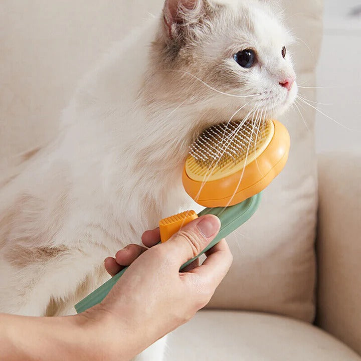 Self Cleaning Pet Brush